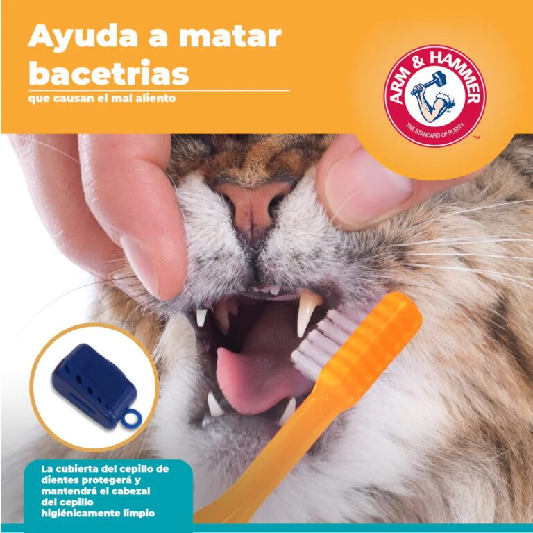 Arm & Hammer Kit Pasta Dental con Cepillo para Gato, Elimina Sarro y Mal Aliento, Sabor Atún, 3pzas