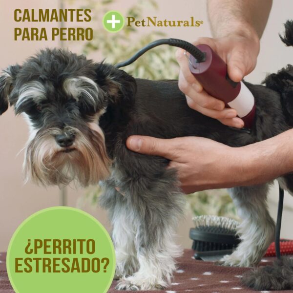 Calmantes para Perros Medianos y Grandes Pet Naturals - Image 3