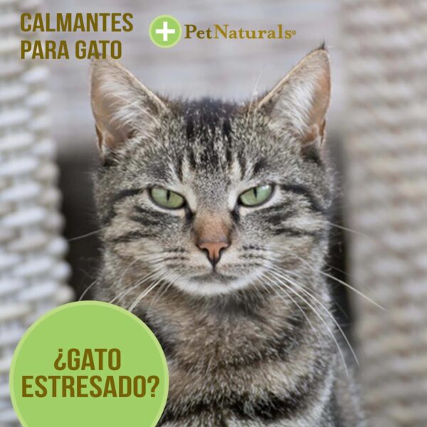 Calmantes para Gatos Pet Naturals - Image 3