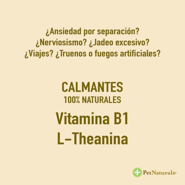 Calmantes para Perros Medianos y Grandes Pet Naturals - Image 4