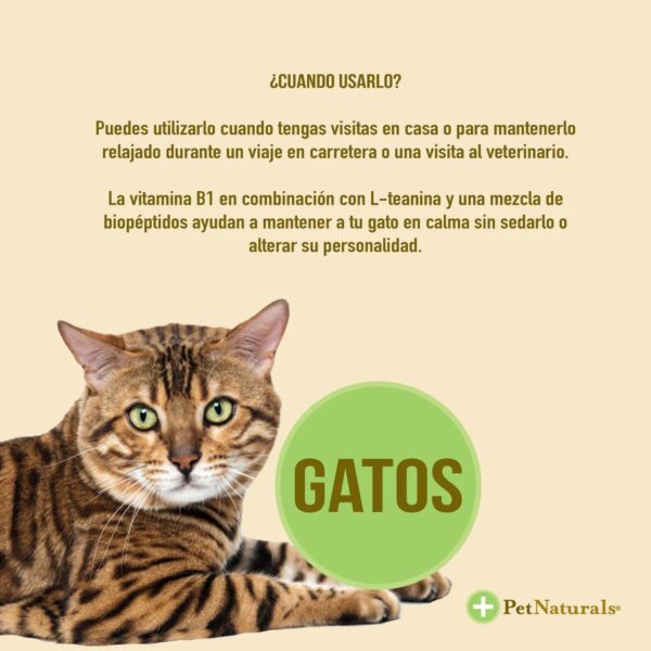 Calmantes para Gatos Pet Naturals - Image 5