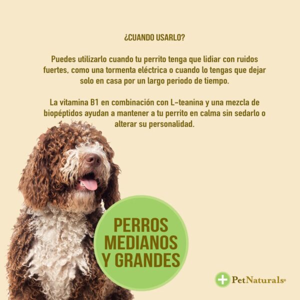 Calmantes para Perros Medianos y Grandes Pet Naturals - Image 5