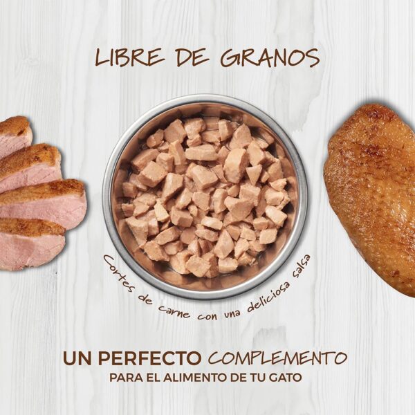 Alimento Húmedo Healthy Cravings Para Gato Pack 12 sobres - Image 3