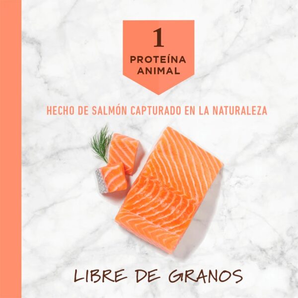 Instinct LID Salmón - Para Perros (4 lb) - Image 4