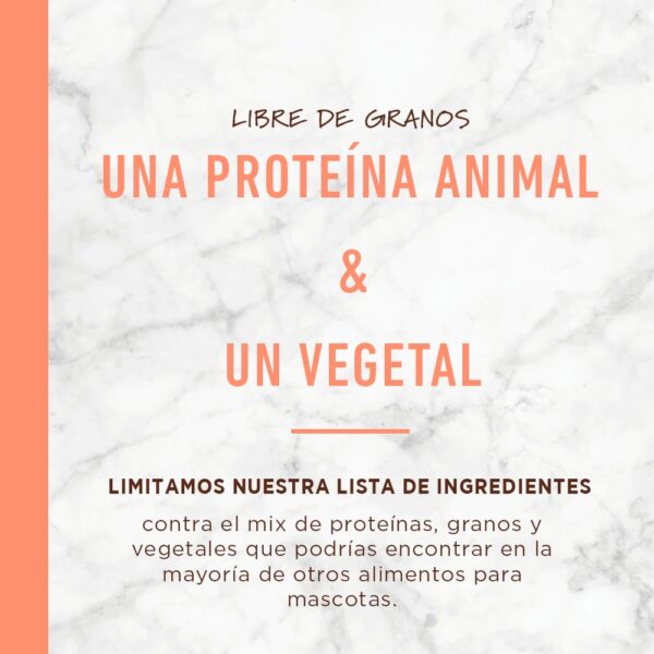 Instinct LID Salmón - Para Perros (4 lb) - Image 6