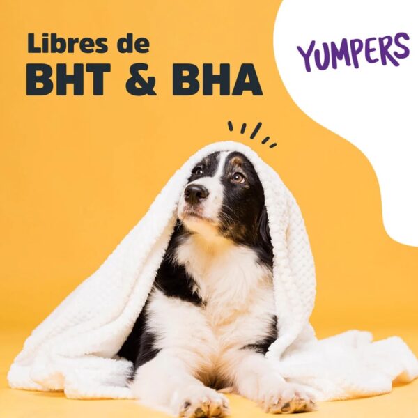 Yumpers de Trick & Treats: Res - Image 5